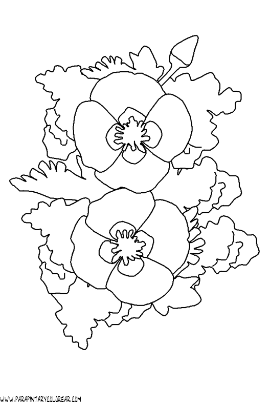 dibujos-para-colorear-de-flores-030.gif