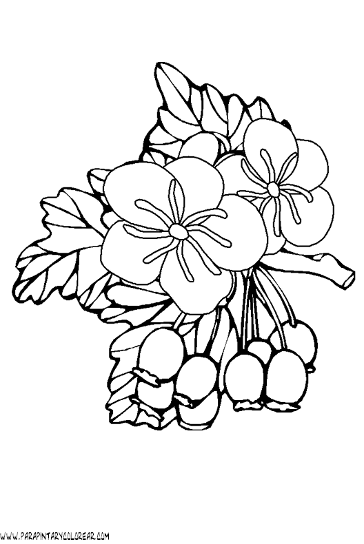dibujos-para-colorear-de-flores-047.gif