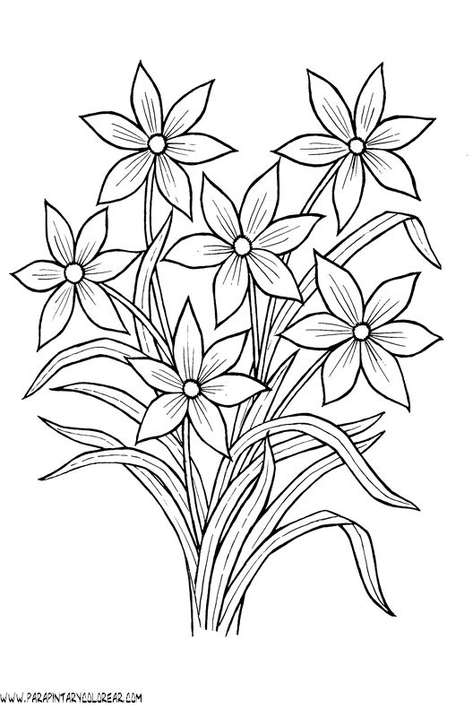 dibujos-para-pintar-de-flores-068.gif