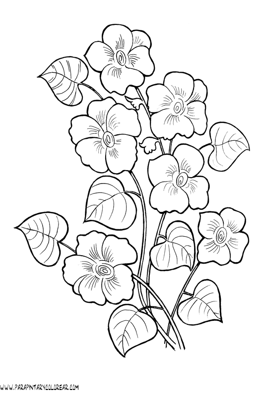 dibujos-para-pintar-de-flores-069.gif