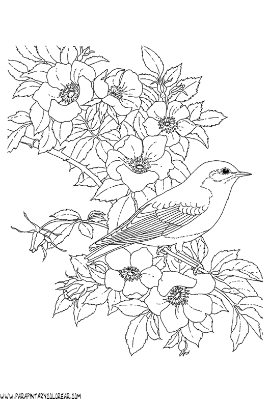 dibujos-para-pintar-de-flores-085.gif