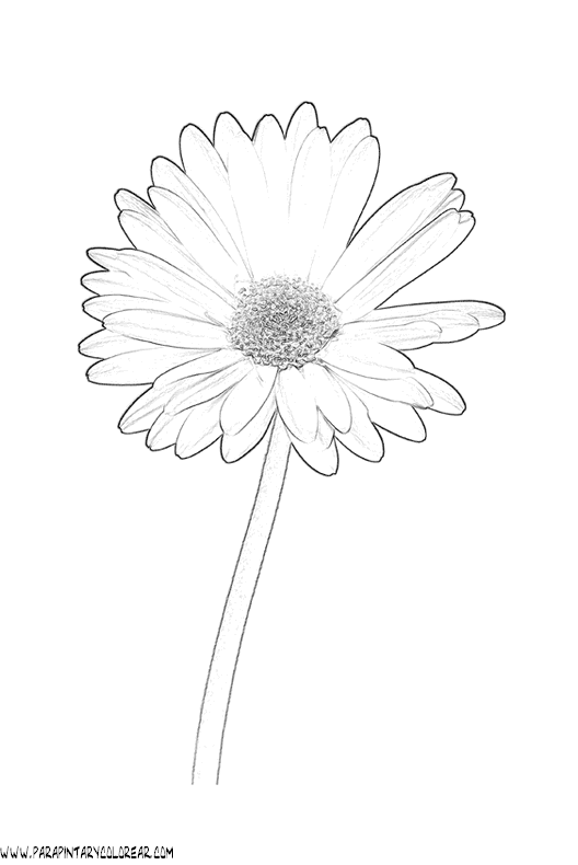 dibujos-para-pintar-de-flores-086.gif