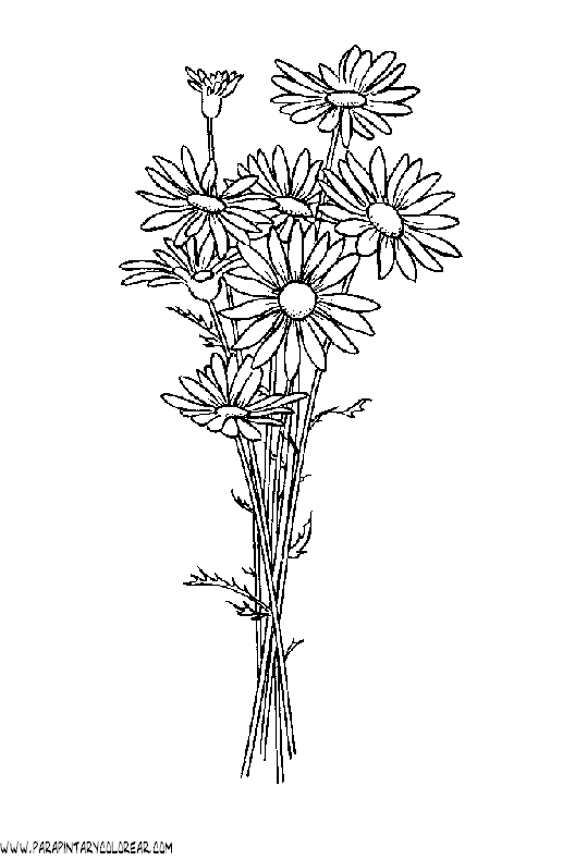 dibujos-para-pintar-de-flores-126.gif