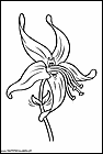dibujos-para-colorear-de-flores-058.gif