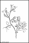 dibujos-para-pintar-de-flores-124.gif