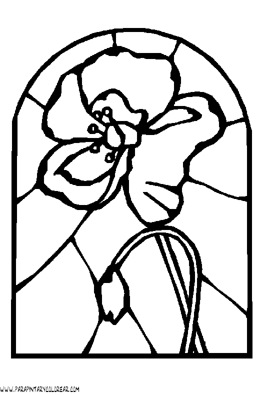 dibujos-para-colorear-de-flores-amapolas-002.gif