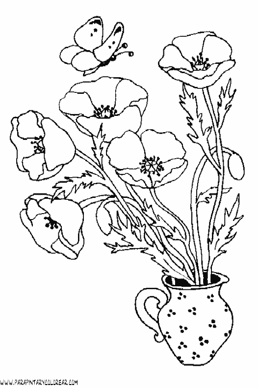 dibujos-para-colorear-de-flores-amapolas-007.gif