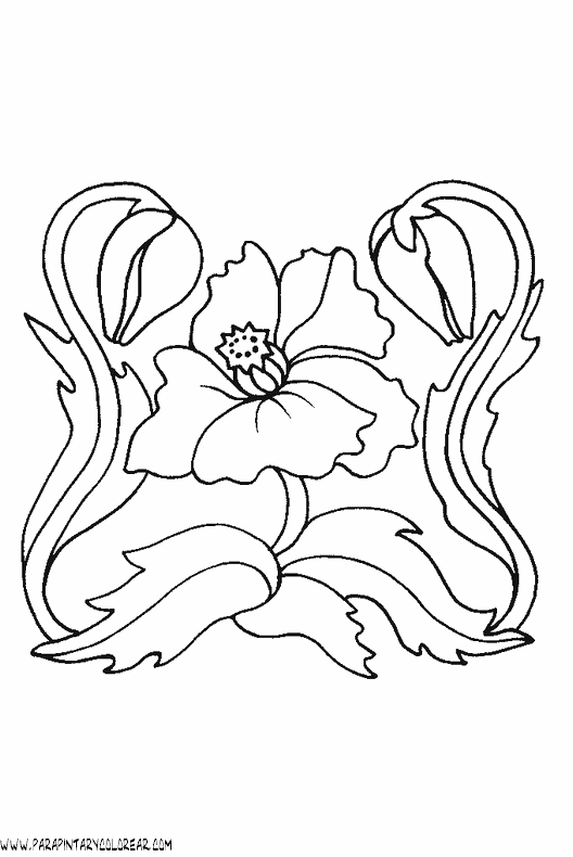 dibujos-para-colorear-de-flores-amapolas-008.gif