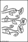 dibujos-para-colorear-de-flores-amapolas-005.gif