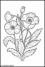 dibujos-para-colorear-de-flores-amapolas-011.gif