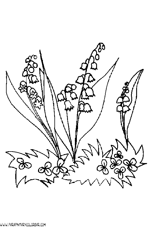 dibujos-para-colorear-de-flores-campanitas-012.gif
