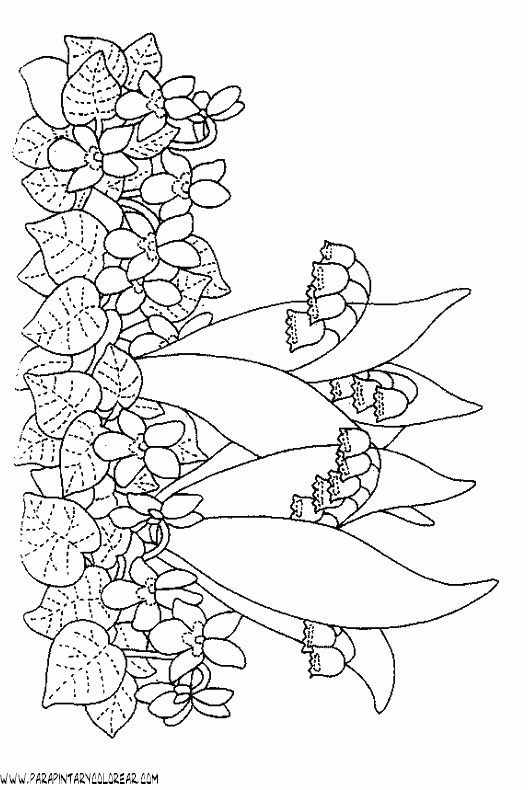 dibujos-para-colorear-de-flores-campanitas-013.gif