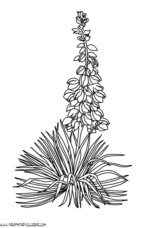 dibujos-para-colorear-de-flores-campanitas-020.gif