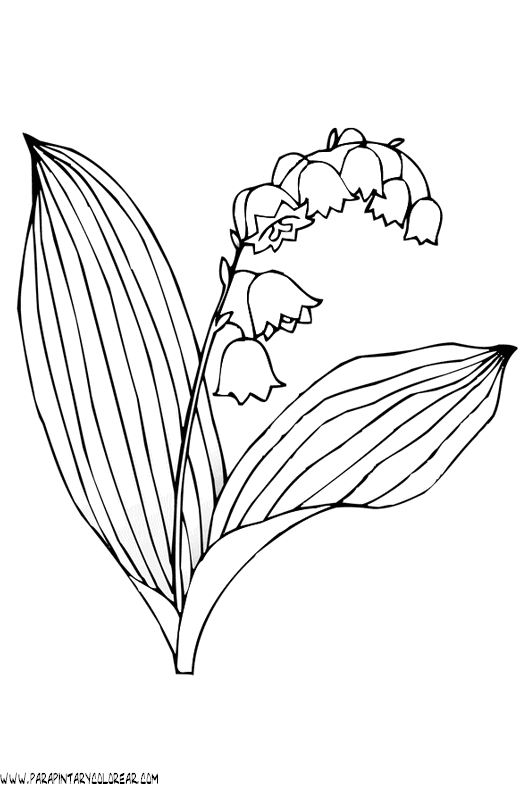 dibujos-para-colorear-de-flores-campanitas-022.gif