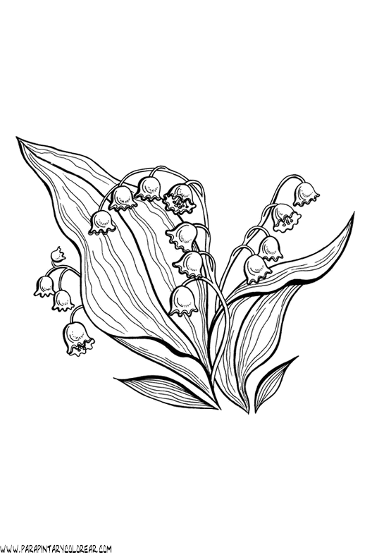 dibujos-para-colorear-de-flores-campanitas-023.gif