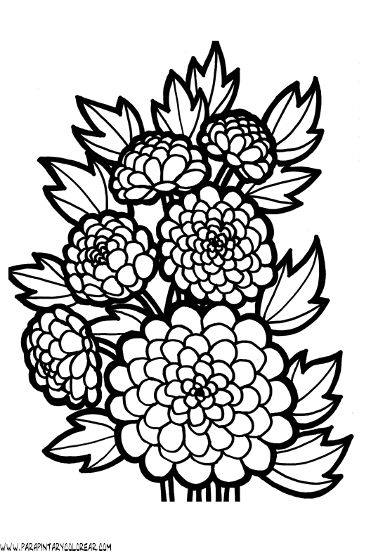 dibujos-para-colorear-de-flores-claveles-003.gif