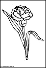 dibujos-para-colorear-de-flores-claveles-001.gif