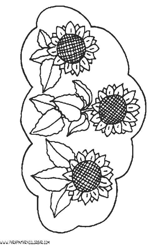 dibujos-para-pintar-de-flores-girasoles-007.gif