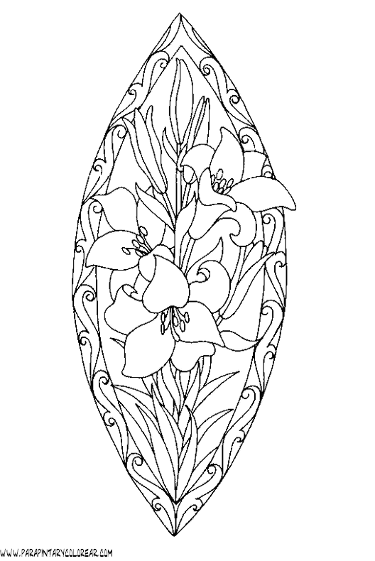 dibujos-para-colorear-de-lirios-002.gif