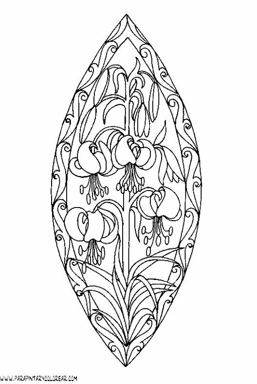 dibujos-para-colorear-de-lirios-003.gif