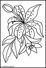 dibujos-para-colorear-de-lirios-006.gif