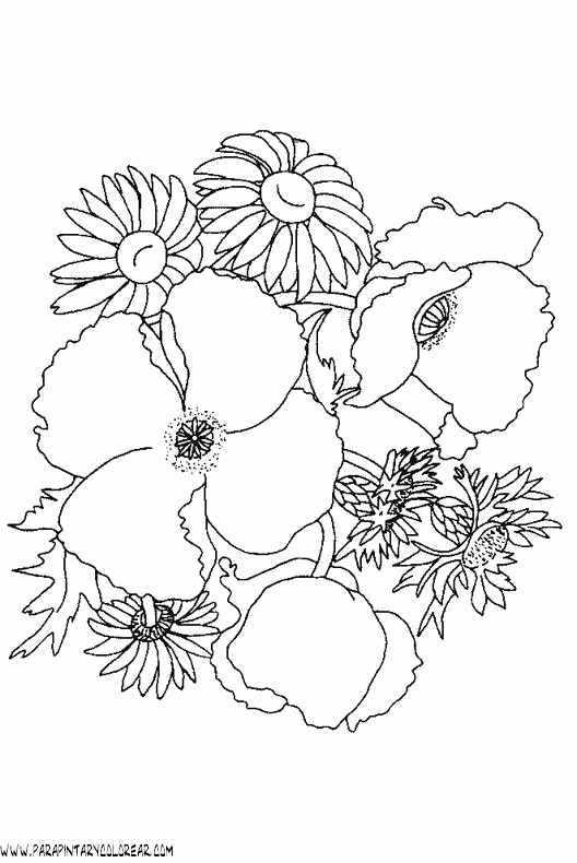dibujos-para-colorear-de-ramos-de-flores-009.gif