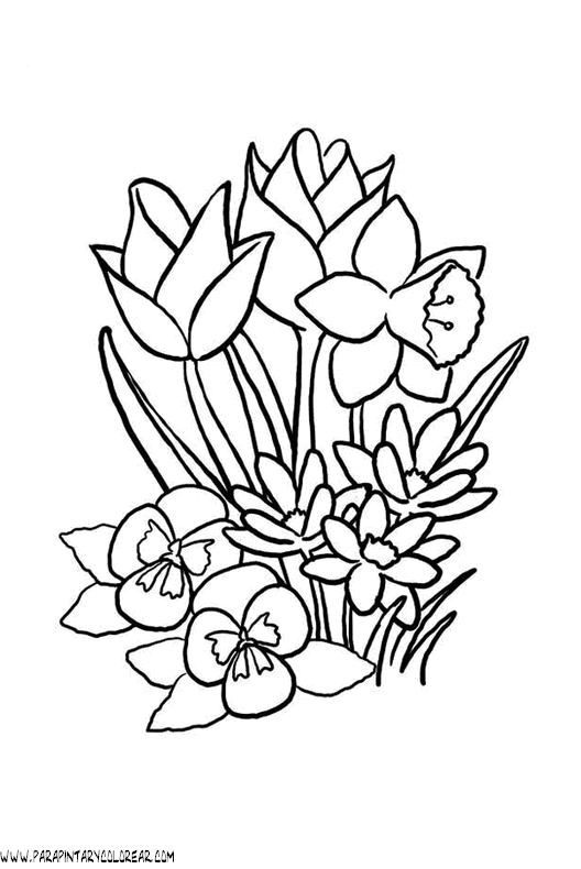 dibujos-para-colorear-de-ramos-de-flores-011