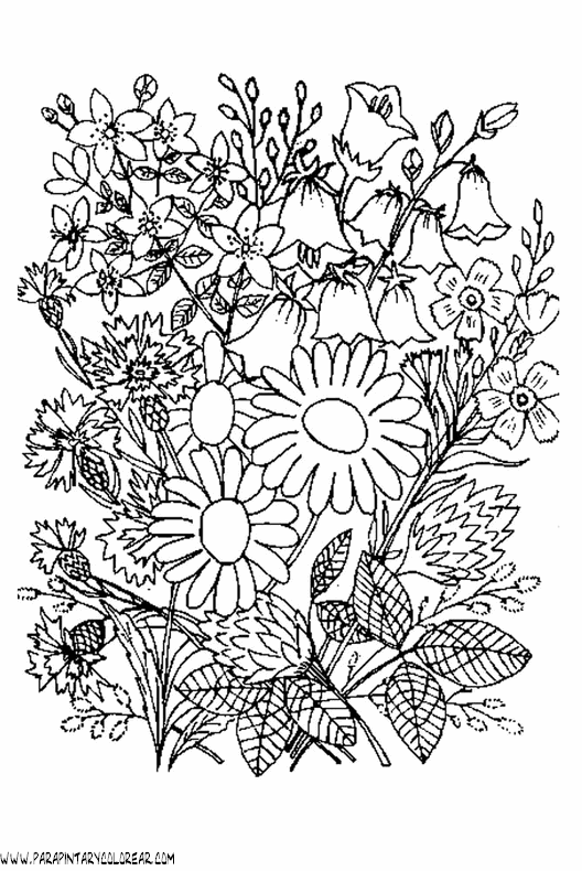 dibujos-para-colorear-de-ramos-de-flores-018.gif