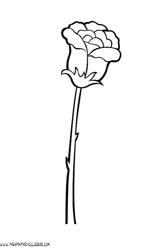 dibujos-para-colorear-de-rosas-004.gif