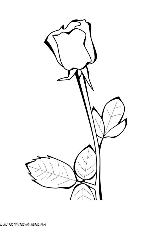 Featured image of post Rosas Animadas Para Dibujar Dibujo de un ramo de rosas para pintar colorear o imprimir