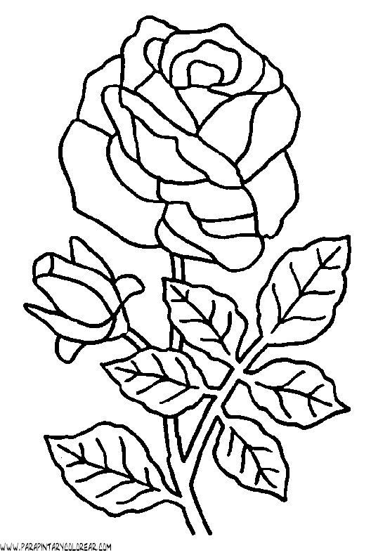 dibujos-para-colorear-de-rosas-007.gif