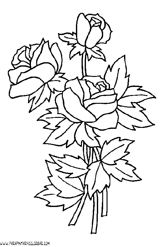 dibujos-para-colorear-de-rosas-009.gif