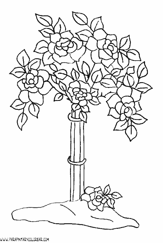 dibujos-para-colorear-de-rosas-014.gif