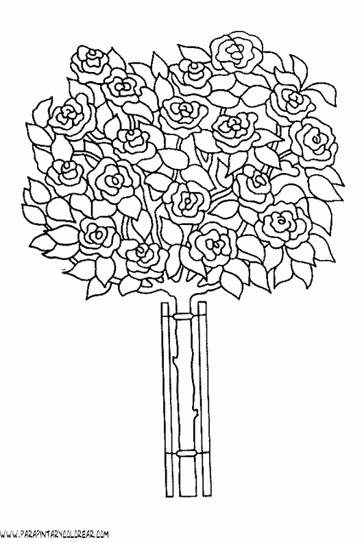dibujos-para-colorear-de-rosas-015.gif