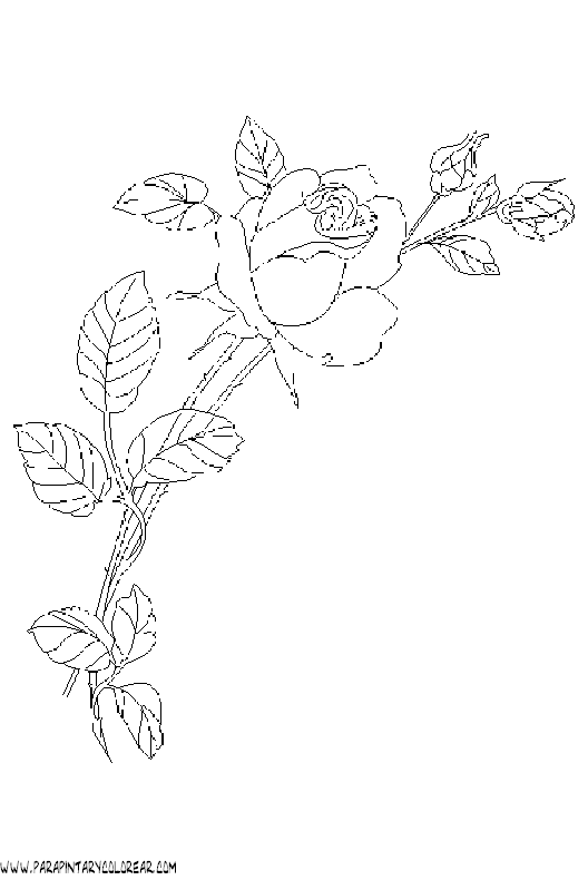 dibujos-para-colorear-de-rosas-020.gif