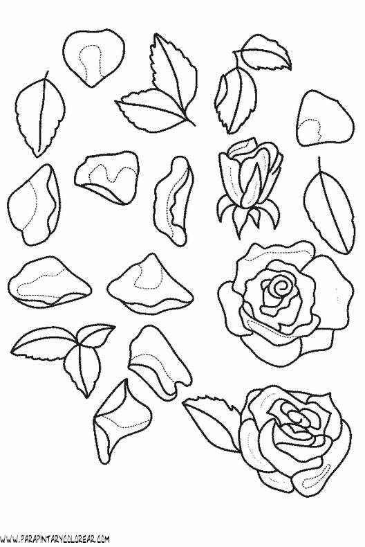 dibujos-para-colorear-de-rosas-021.gif