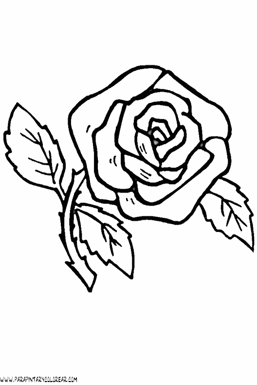 dibujos-para-colorear-de-rosas-023.gif