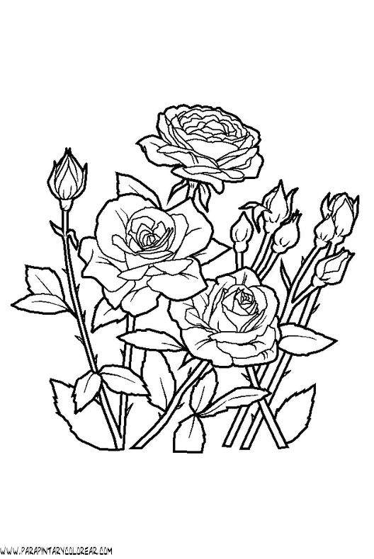 dibujos-para-colorear-de-rosas-027.gif