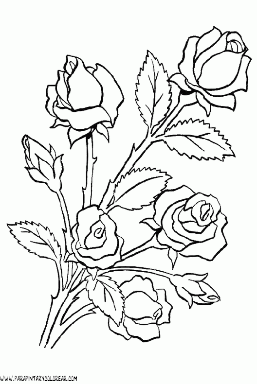 dibujos-para-colorear-de-rosas-030.gif