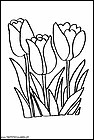 tulipanes