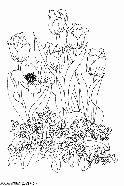 dibujos-para-pintar-de-flores-tulipanes-011.gif