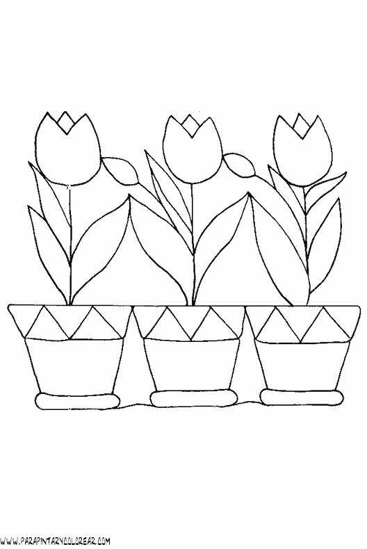 dibujos-para-pintar-de-flores-tulipanes-016.gif