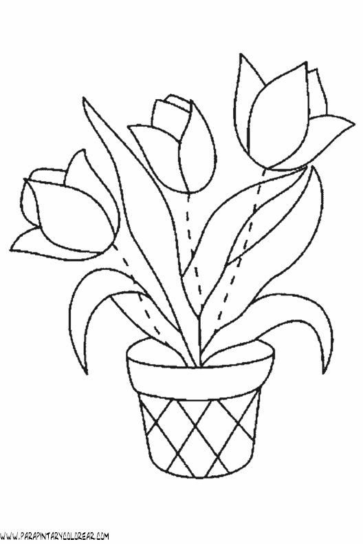dibujos-para-pintar-de-flores-tulipanes-018
