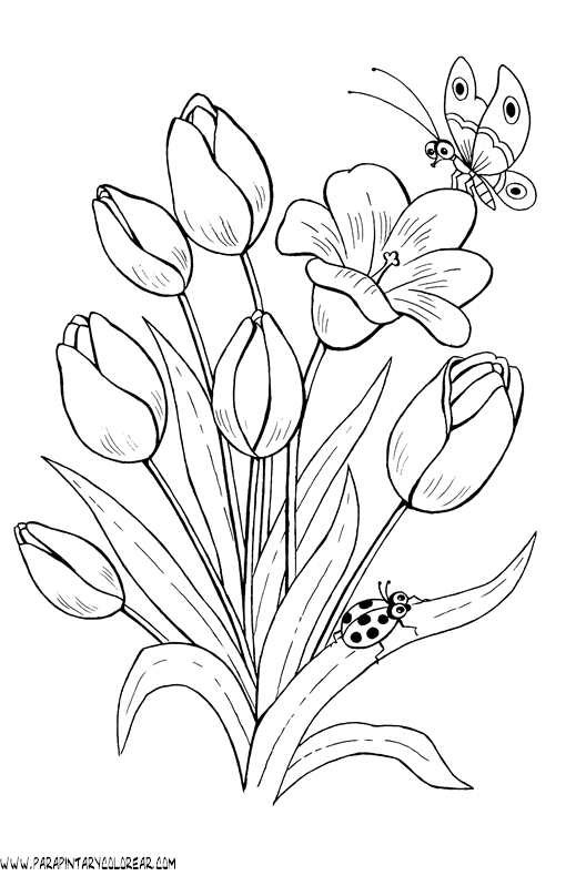 dibujos-para-pintar-de-flores-tulipanes-019