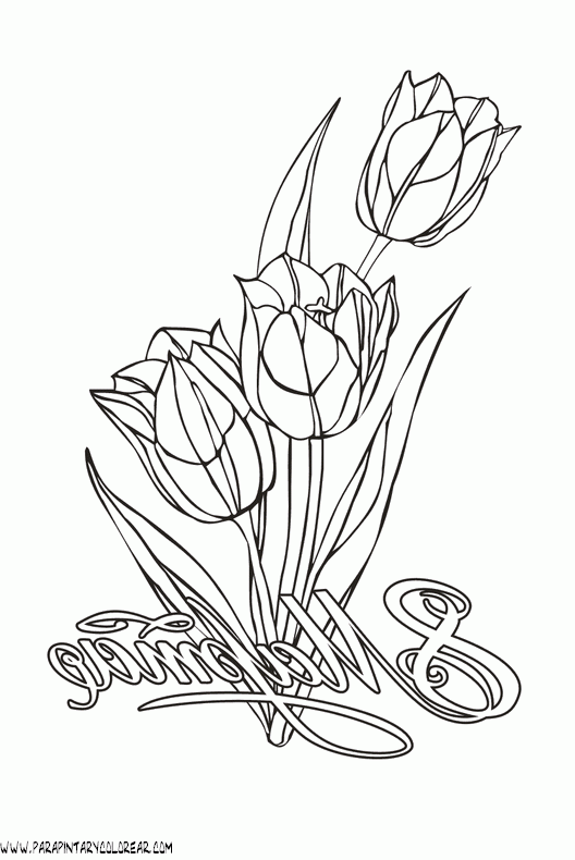dibujos-para-pintar-de-flores-tulipanes-023.gif