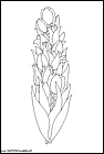 dibujos-para-pintar-de-flores-tulipanes-009.gif