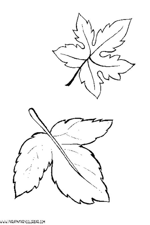 dibujos-para-colorear-de-hojas-de-arboles-007.gif