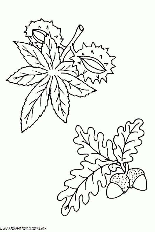 dibujos-para-colorear-de-hojas-de-arboles-008.gif