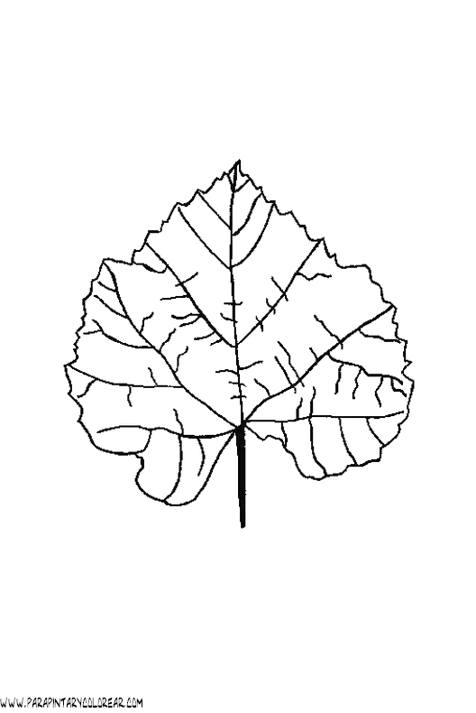 dibujos-para-colorear-de-hojas-de-arboles-009.gif