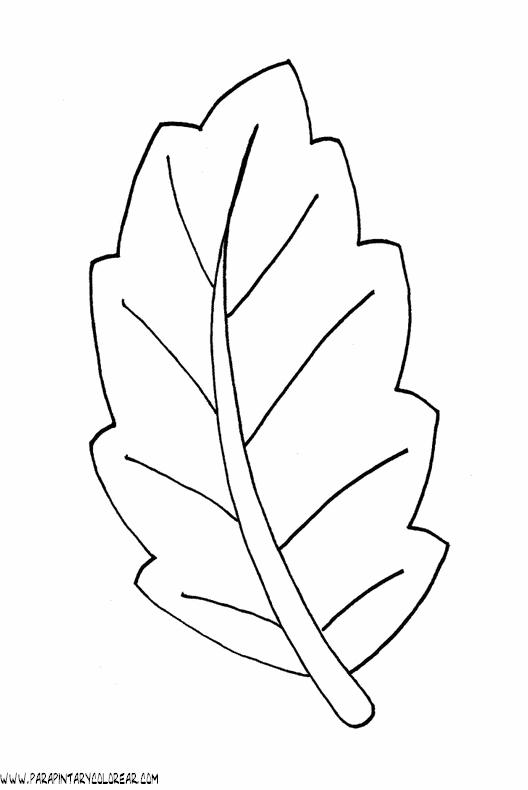 dibujos-para-colorear-de-hojas-de-arboles-010.gif
